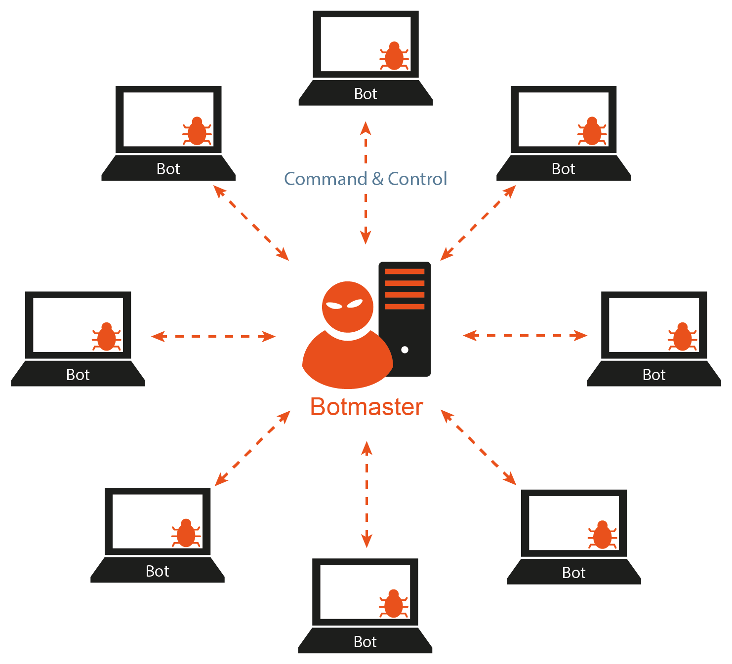 Botnet / Botnetz - Glossar - Prof. Dr. Norbert Pohlmann