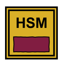High-Level Security Module (HSM) - Glossar Cyber-Sicherheit - Prof. Norbert Pohlmann