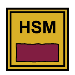 High-Level Security Module (HSM) als Hardware-Sicherheitsmodul für besonders wertvolle sicherheitsrelevante Informationen